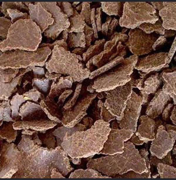 Groundnut Meal / DOC