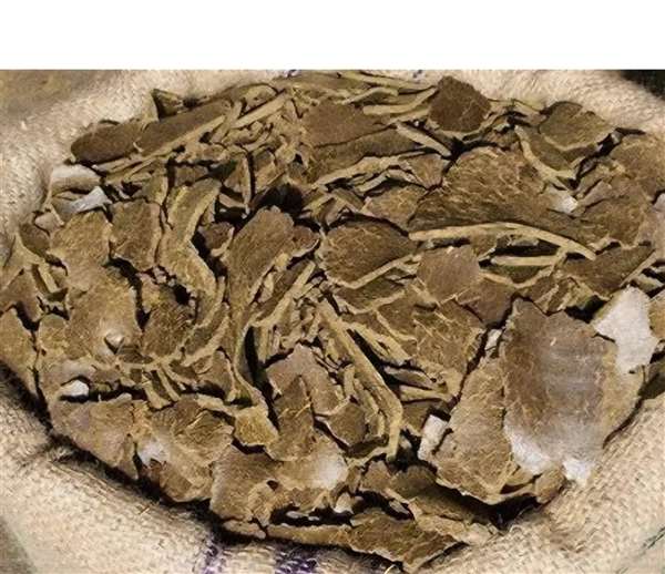 Rapeseed / Mustard Meal